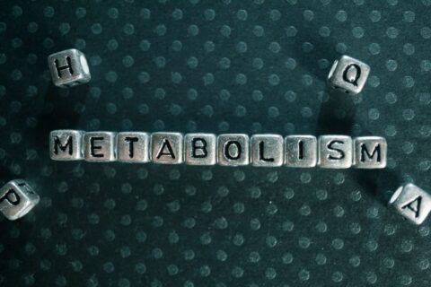 What is slow metabolism? – how to fix it