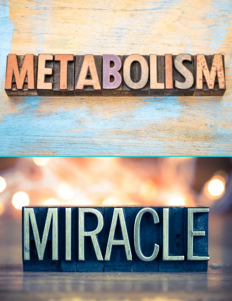 metabolism miracle
