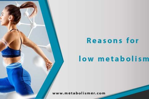 Reasons for low metabolism