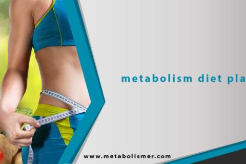 The Metabolism Diet Plan: Lower Your Setpoint with Food