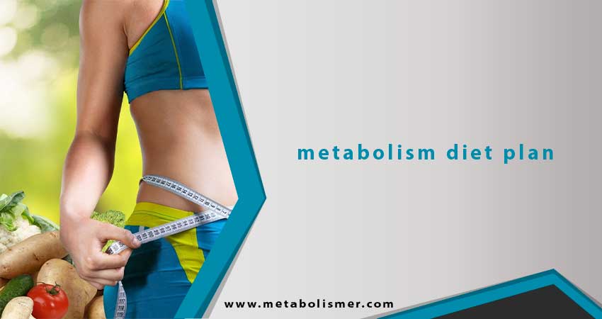 The Metabolism Diet Plan: Lower Your Setpoint with Food