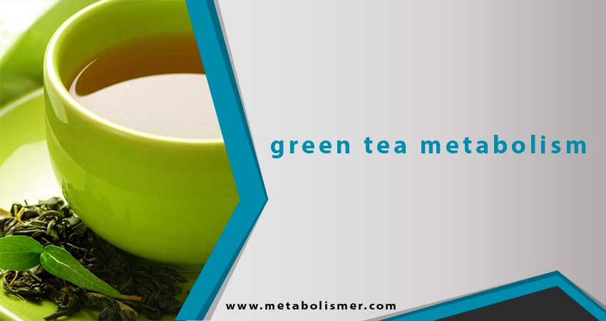 How To Use Green Tea To Boost Your Metabolism and Lose Weight