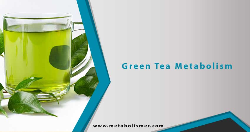 Green Tea Metabolism