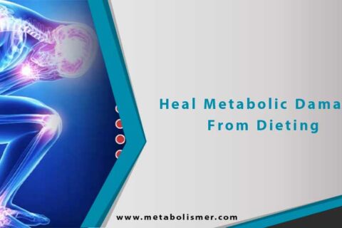 How To Heal Metabolic Damage From Dieting